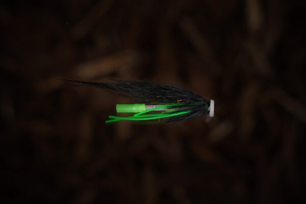 MV Fly - Image 3