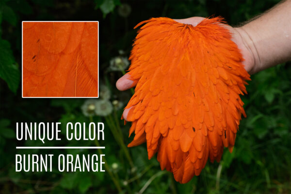 Signature Hensaddle - Burnt Orange