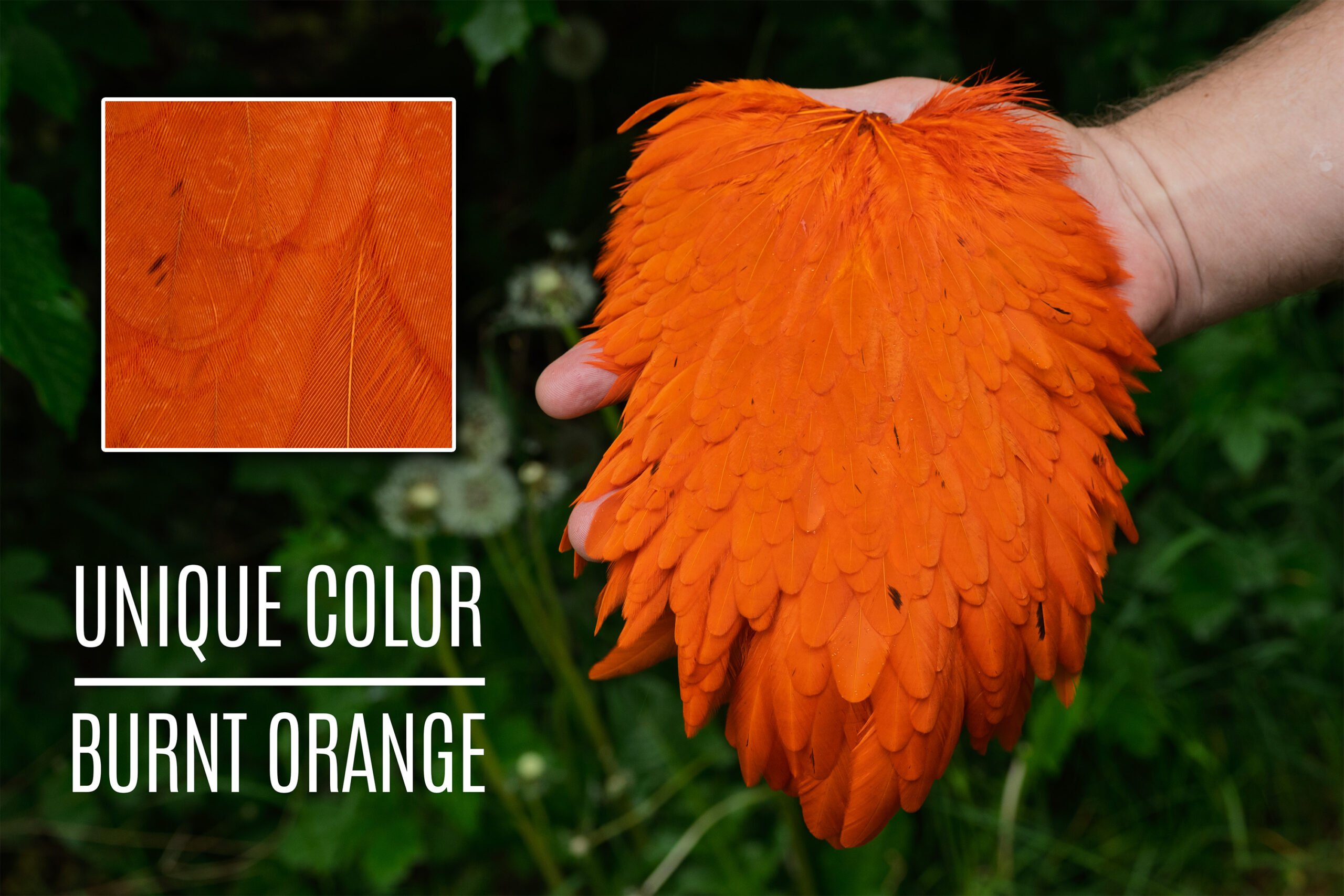 Signature Hensaddle - Burnt Orange