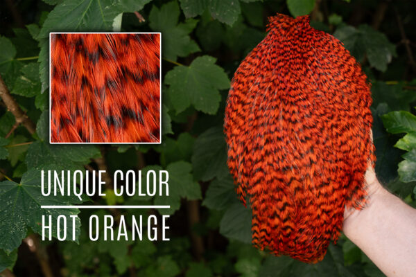 Signature Rooster Cape Grizzly Hot Orange