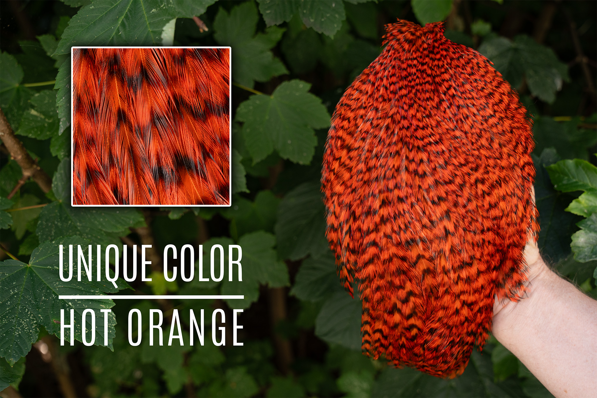 Signature Rooster Cape Grizzly Hot Orange