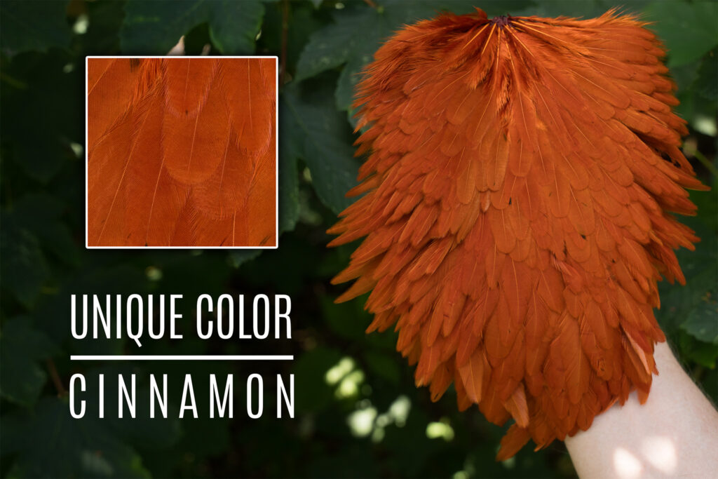 Hønsesadel farvet i ingefær