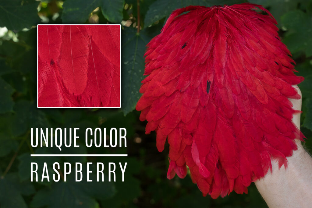 Signatur Hensaddle Hindbær